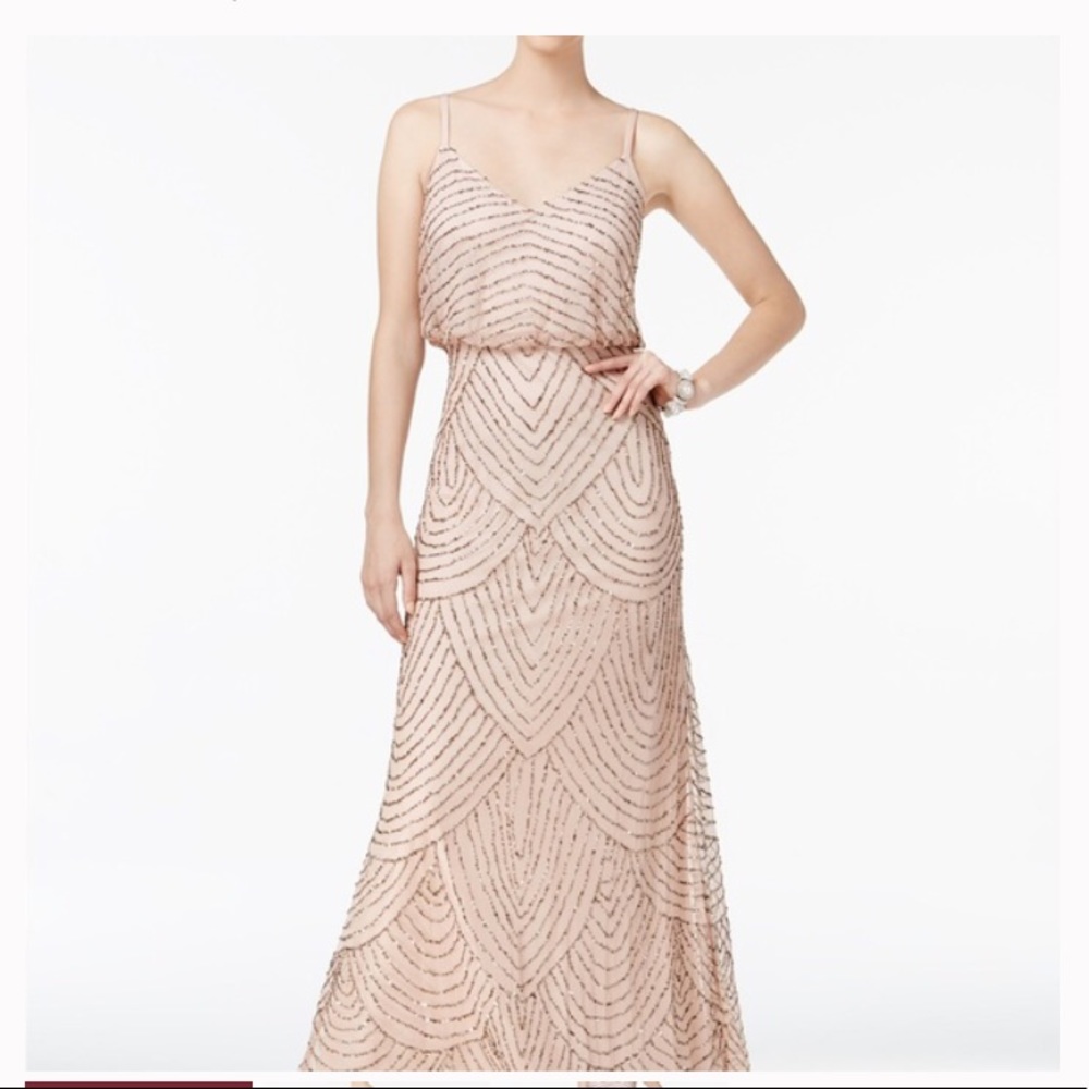 Stunning Adrianna Papell dress